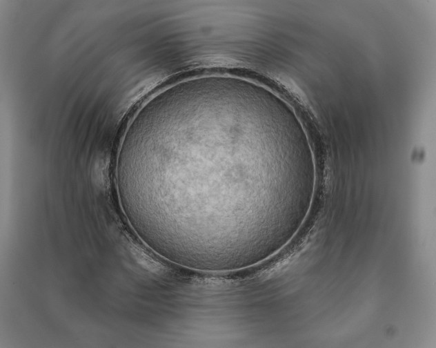 X0000091210873200708161541