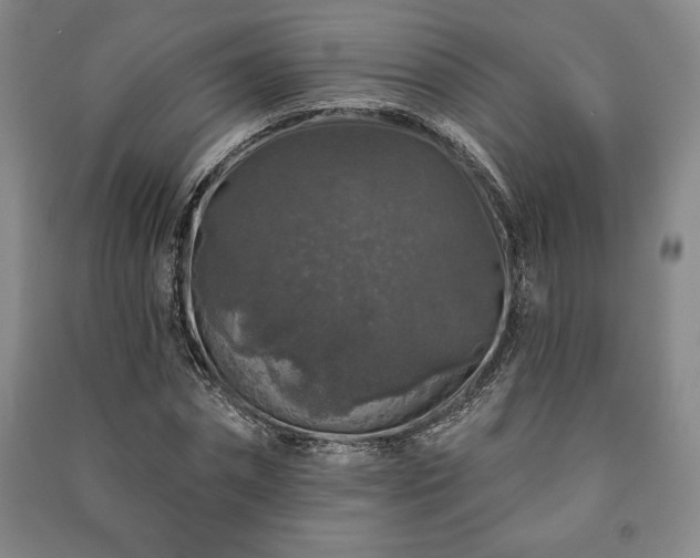 X0000091210874200708161541