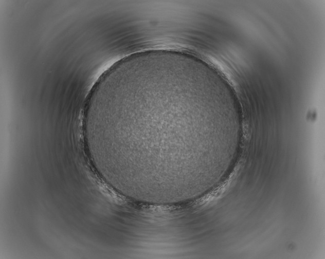 X0000091210875200708161541