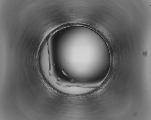 X0000091210876200708161541