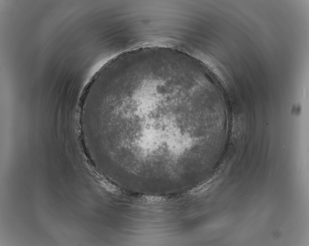 X0000091210878200708161541
