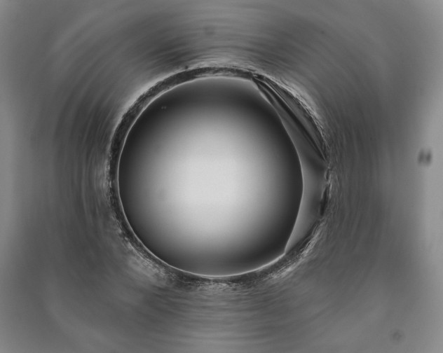 X0000091210880200708161541