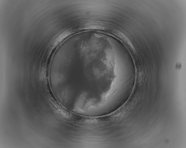 X0000091210882200708161541