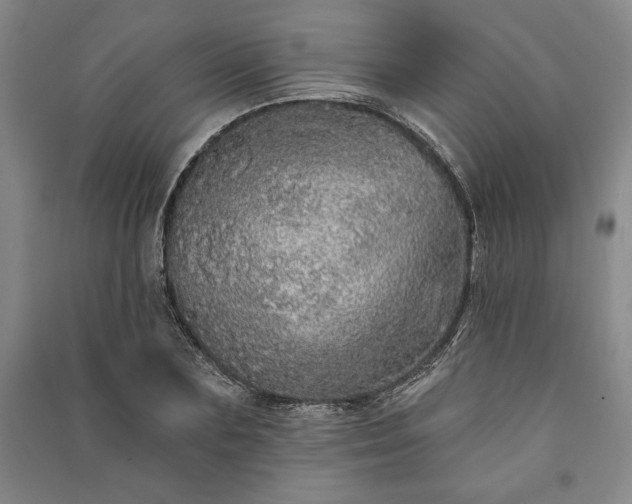 X0000091210883200708161541