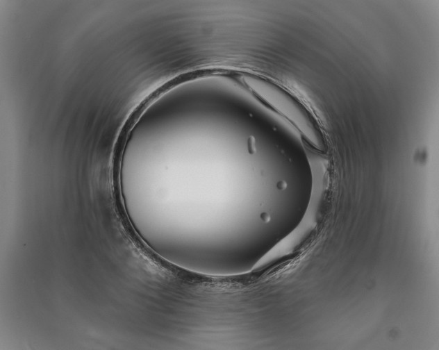 X0000091210884200708161541