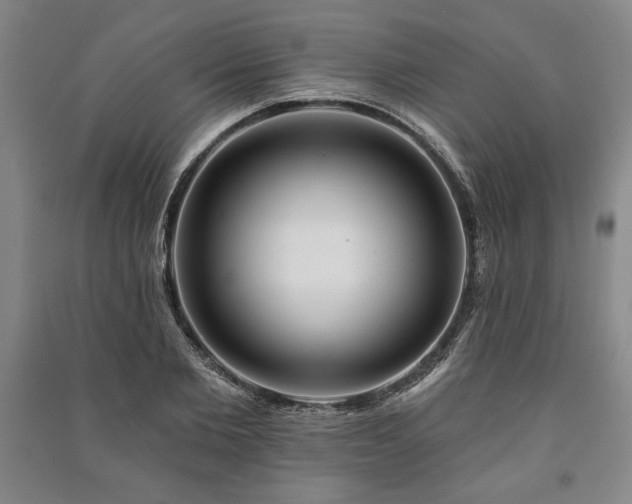 X0000091210885200708161541
