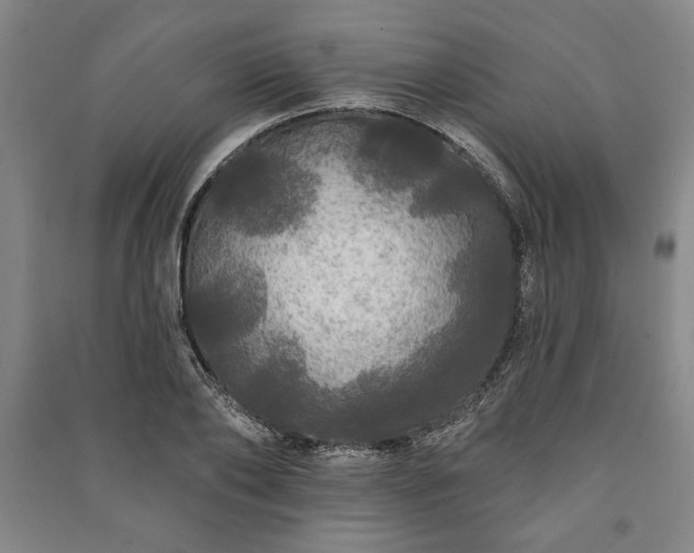 X0000091210886200708161541