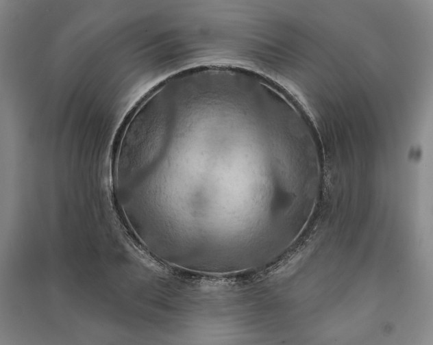 X0000091210887200708161541