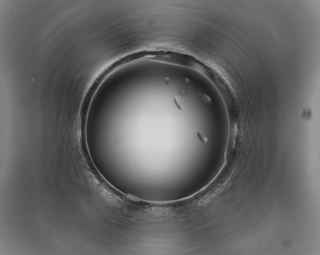 X0000091210888200708161541