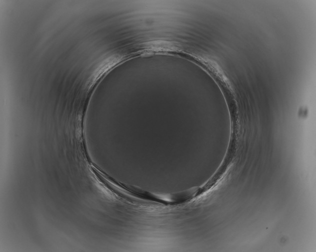 X0000091210889200708161541