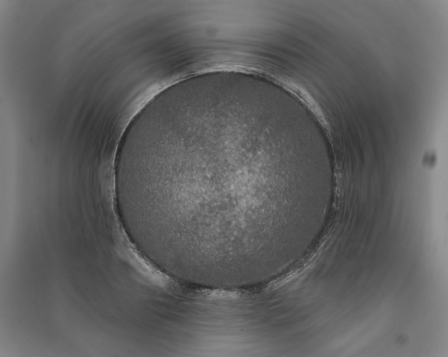 X0000091210890200708161541