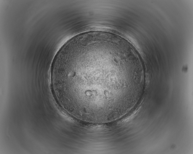 X0000091210891200708161541