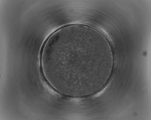 X0000091210892200708161540