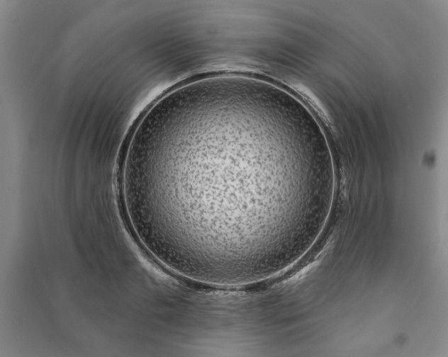 X0000091210893200708161540
