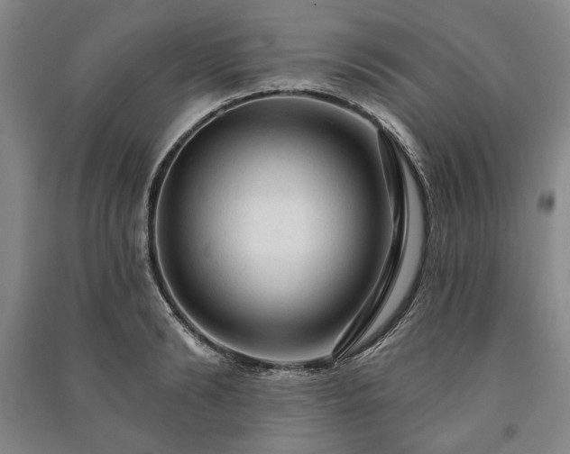 X0000091210894200708161540