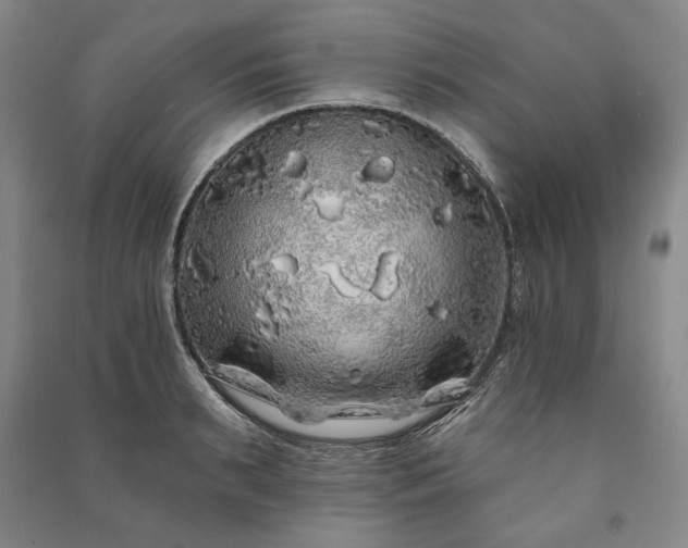 X0000091210895200708161540