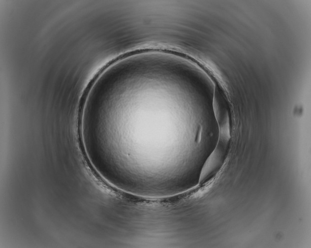 X0000091210896200708161540