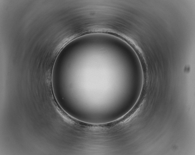 X0000091210897200708161540