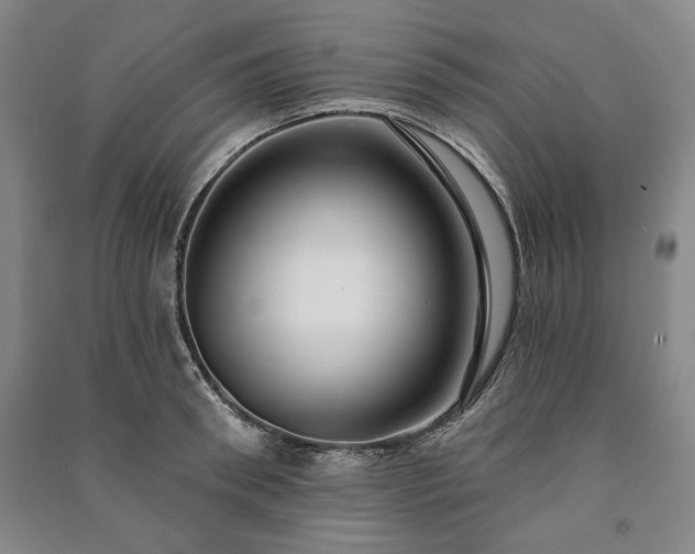 X0000091210898200708161540