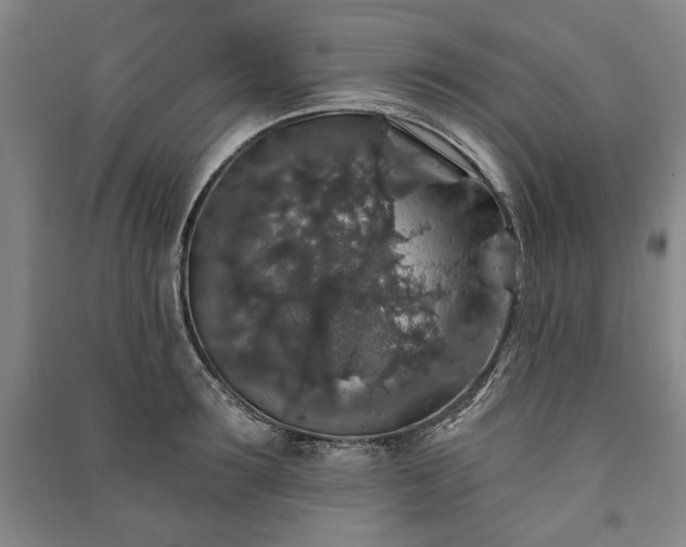 X0000091210899200708161540