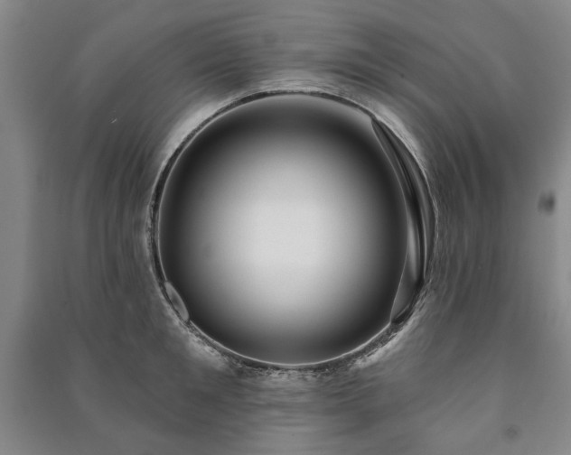 X0000091210901200708161540