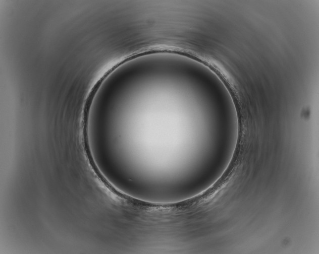 X0000091210902200708161540
