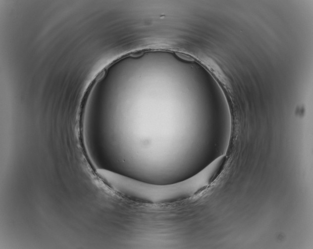 X0000091210904200708161540