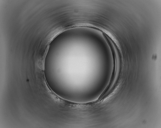 X0000091210905200708161540