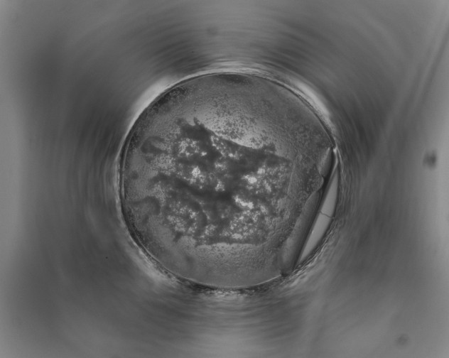 X0000091210907200708161540