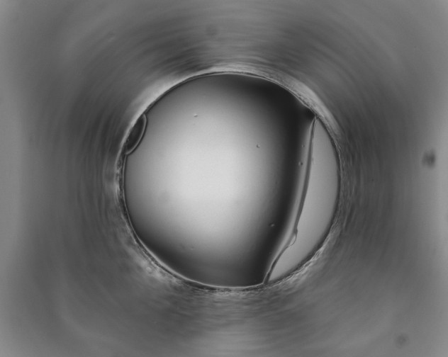 X0000091210908200708161540