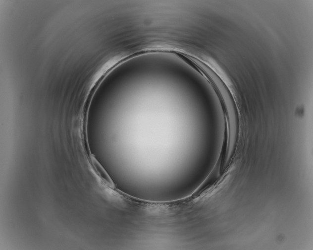 X0000091210909200708161540