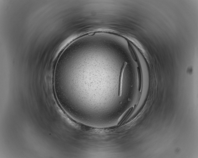 X0000091210910200708161540
