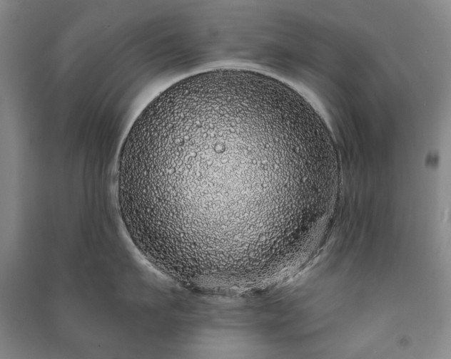 X0000091210911200708161540