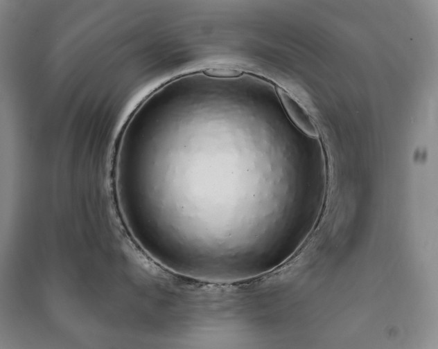 X0000091210912200708161540