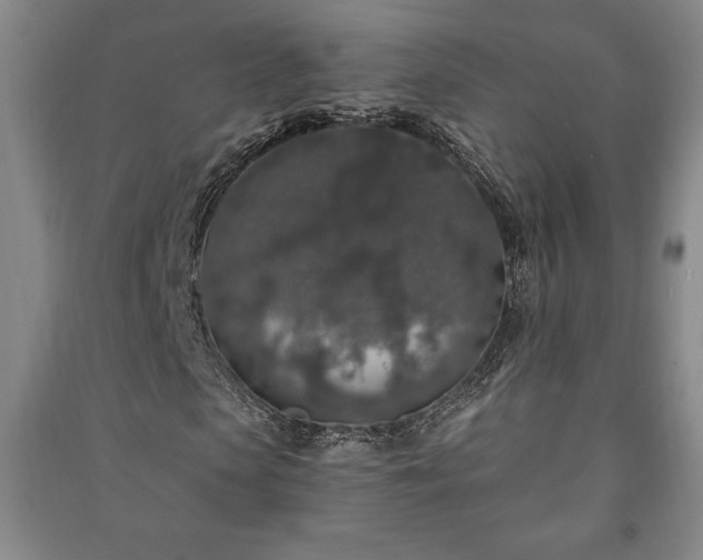 X0000091210913200708161540