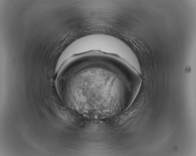 X0000091210916200708161540