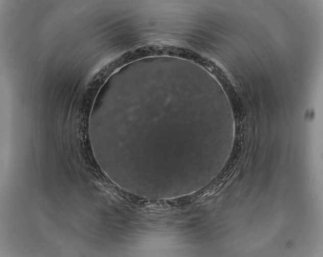 X0000091210919200708161540