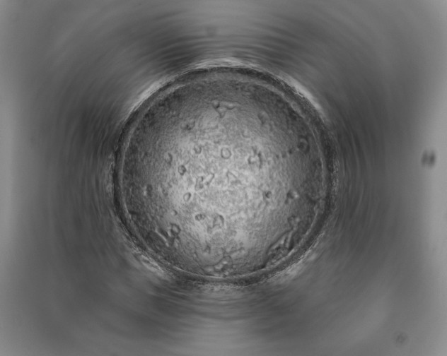 X0000091210921200708161540
