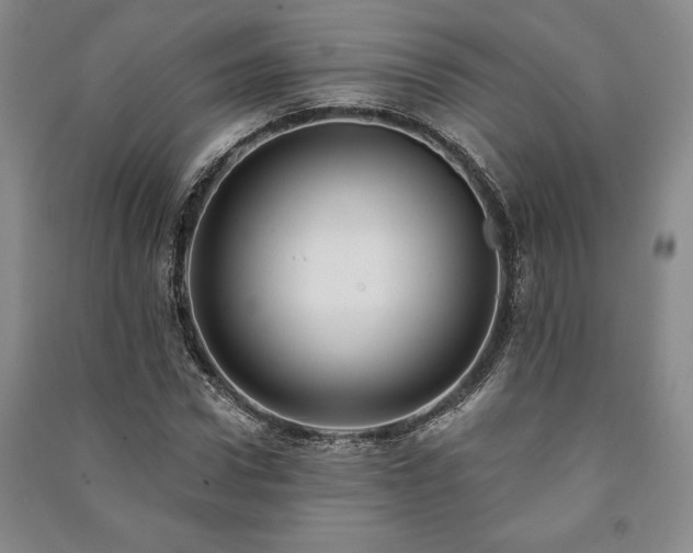 X0000091210922200708161540