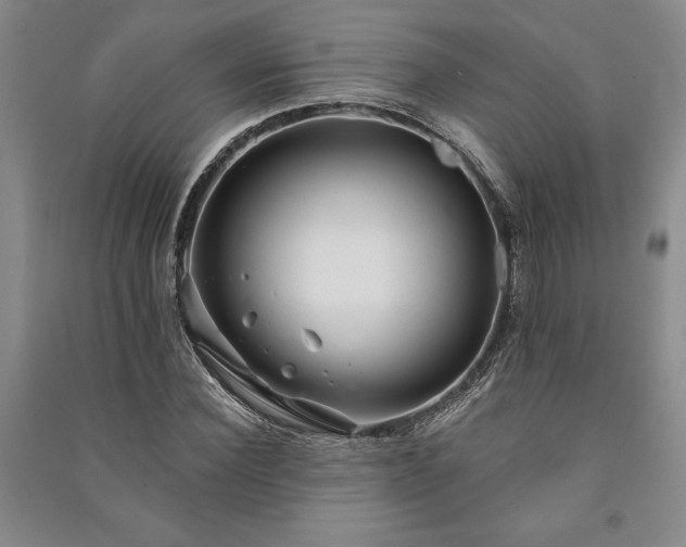 X0000091210924200708161540