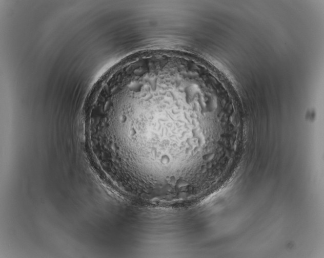 X0000091210925200708161540
