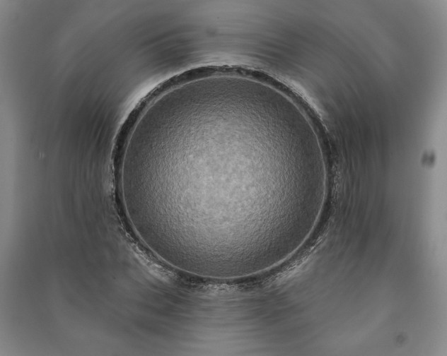 X0000091210927200708161540