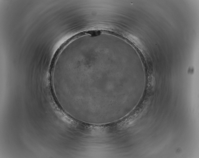 X0000091210928200708161540
