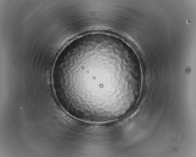 X0000091210929200708161540