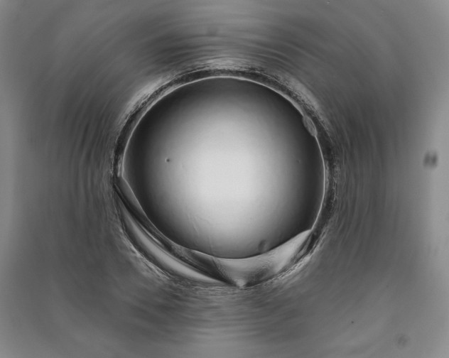 X0000091210930200708161540