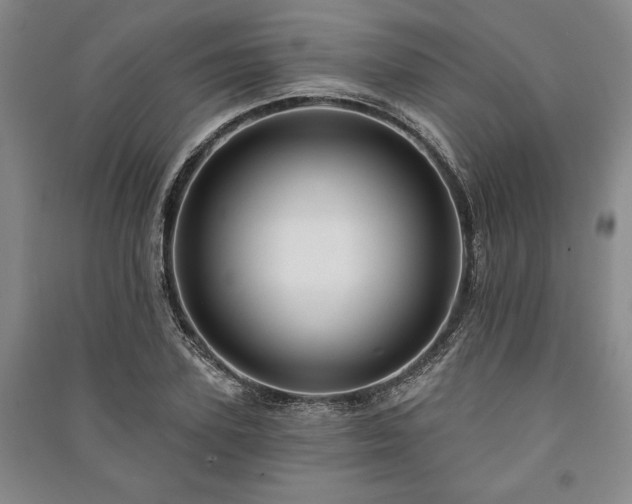 X0000091210931200708161540