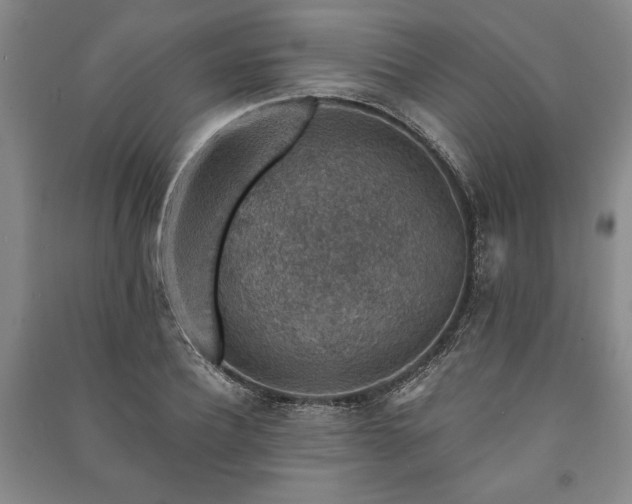 X0000091210932200708161540