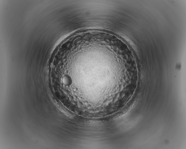 X0000091210933200708161540