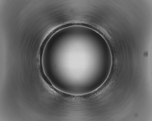 X0000091210934200708161540