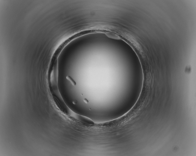 X0000091210936200708161540
